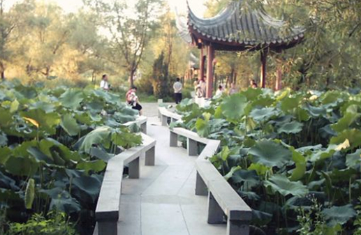 12798_副本.jpg 12798_副本.jpg