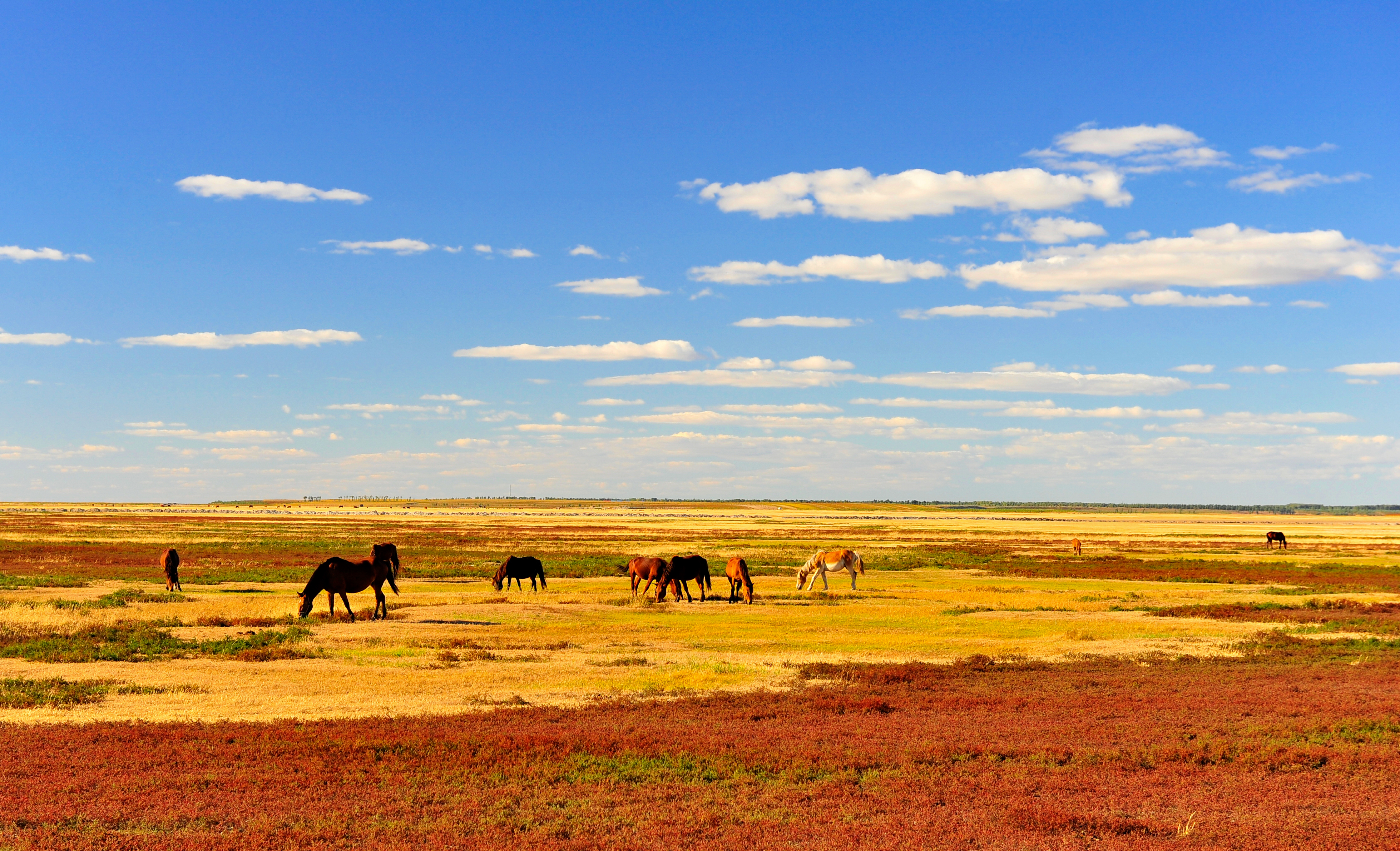 这里是松原一座和幸福有关的生态宜居城