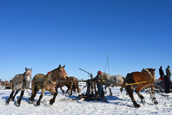 mmexport1767861648849.jpg mmexport1767861648849.jpg