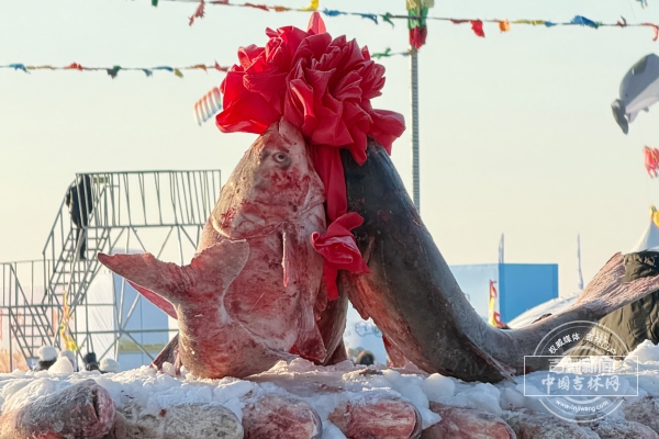 mmexport1767861644736.jpg mmexport1767861644736.jpg